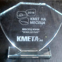 Кристални плакети, Кристална статуетка, Стъклен плакет, Стъклена статуетка, Кристален плакет.